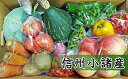 【ふるさと納税】信州小諸 母ちゃんから季節野菜の贈り物 【野...