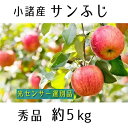 【ふるさと納税】信州小諸産 サンふじりんご 秀品 約5kg 【果物類・林檎・りんご・リンゴ・サンふじ・約5kg】 お届け:2021年11月下旬~12月上旬