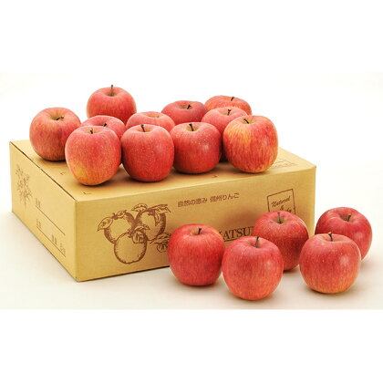信州小諸　松井農園のサンふじ　約5kg　【果物類・林檎・りんご・リンゴ】　お届け：2022年12月上旬〜2023年2月中旬