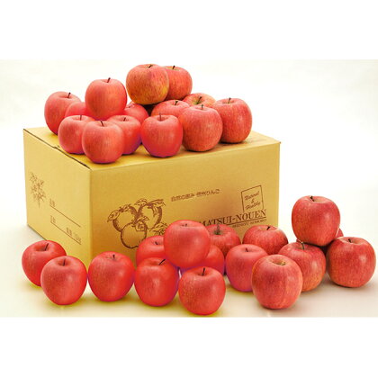 信州小諸　松井農園のシナノスイート　約10kg　【果物類・林檎・りんご・リンゴ】　お届け：2022年10月中旬〜2022年11月上旬