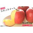 【ふるさと納税】信州小諸産 シナノスイート 秀品 約5kg 【果物類・林檎・りんご・リンゴ・シナノスイート・ 秀品・ 5kg・甘くて・サクサク・やさしい甘味・JA選果機の光センサー選別・安心・品質保証】 お届け:2022年10月中旬~2022年11月上旬