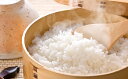 【ふるさと納税】長野県産 あきたこまち 10kg 【お米・あ...