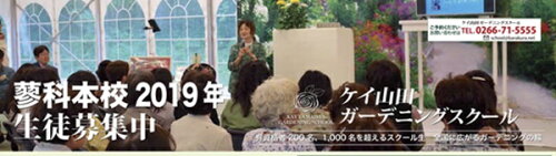 https://thumbnail.image.rakuten.co.jp/@0_mall/f202142-chino/cabinet/06559283/imgrc0073889375.jpg?_ex=500x500