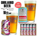 【ふるさと納税】キャプテンクロウ&雷電カンヌキIPA10本4回定期便