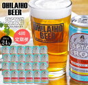 【ふるさと納税】オラホビールキャプテンクロウ24本4回定期便