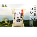 【ふるさと納税】山の恵みの贈り物 コシヒカリ令和元年産 10kg(5kg×2袋) 【お米・コシヒカリ】 お届け:2019年10月下旬〜2020年8月末