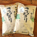 【ふるさと納税】みやましじみ米 10kg