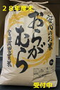 【ふるさと納税】減農薬栽培コシヒカリ10kg