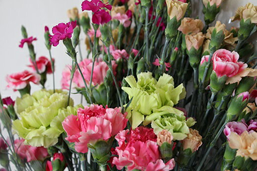 【ふるさと納税】宮田村産『カーネーション』の花束