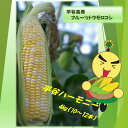 2019年受付開始8月〜発送予定【ふるさと納税】フルーツトウ...
