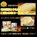 【ふるさと納税】南信州根羽産「幻のトウモロコシ」を使った「甘...