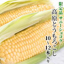【ふるさと納税】令和3年度産 高原とうもろこし サニーショコ...