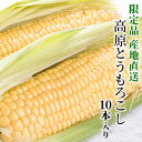 【ふるさと納税】令和3年度産 高原とうもろこし サニーショコ...