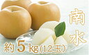 【ふるさと納税】南水(日本梨) 約5kg(12玉) 【梨・ナ...