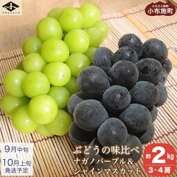 【ふるさと納税】高級ぶどう味比べ詰合せ 約2kg 3～4房 <strong>ナガノパープル</strong> ＆ <strong>シャインマスカット</strong> ［小布施屋］ 果物 フルーツ ぶどう 葡萄 詰め合わせ セット 食べ比べ 詰合せ 長野県産 信州産 クール便 冷蔵便 先行予約 数量限定 令和6年産【2024年9月中旬～10月上旬発送】