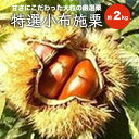 【ふるさと納税】新規就農者応援コース 特選小布施栗 約2kg(3L)