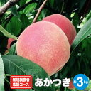 【ふるさと納税】新規就農者応援コース あかつき 約3kg
