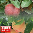 【ふるさと納税】新規就農者応援コース 季節のももとりんごコー...