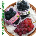 【ふるさと納税】ぶどう3種味比べセット ( 種無し巨峰 ナガ...