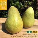 【ふるさと納税】おぶせファーマーズの「マルゲリット・マリーラ...