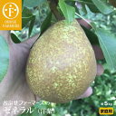 【ふるさと納税】おぶせファーマーズの「ゼネラル(洋梨)家庭用...