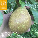 【ふるさと納税】おぶせファーマーズの「ゼネラル(洋梨) 約5...