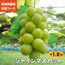 【ふるさと納税】新規就農者応援コース シャインマスカット 約...