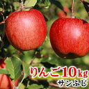 【ふるさと納税】【先行予約】 りんご 飯綱のりんご サンふじ...