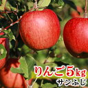 【ふるさと納税】【先行予約】 丸山りんご園 の りんご 【 ...