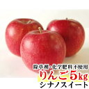 【ふるさと納税】【先行予約】 シナノスイート りんご 特秀 ...