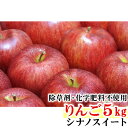 【ふるさと納税】【先行予約】 シナノスイート りんご 5kg...