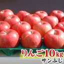 【ふるさと納税】【先行予約】 飯綱町産 サンふじ りんご 1...