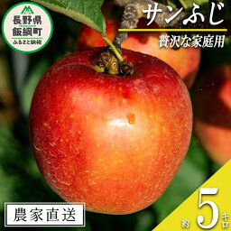 【ふるさと納税】 りんご サンふじ 贅沢な 家庭用 5kg <strong>永野</strong>農園 沖縄県への配送不可 令和6年度収穫分 長野県 飯綱町 〔 信州 果物 フルーツ リンゴ 林檎 長野 予約 農家直送 16000円 〕発送時期：2024年12月上旬～2025年2月上旬