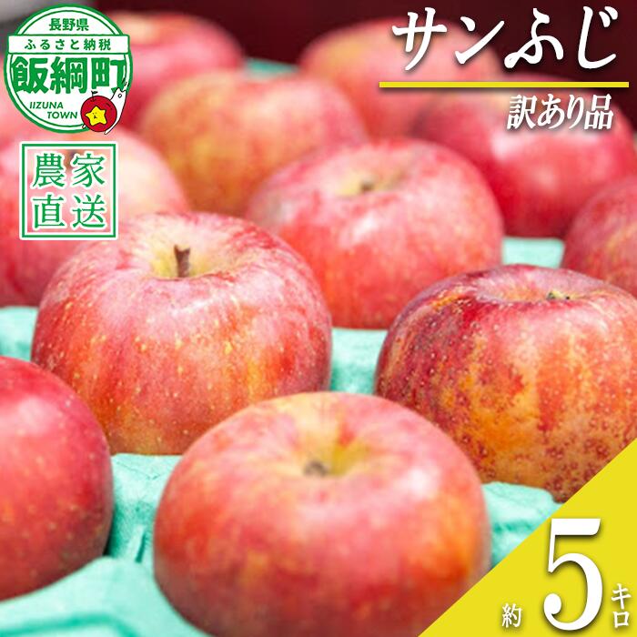 【ふるさと納税】 りんご サンふじ 訳あり 5kg <strong>永野</strong>農園 沖縄県への配送不可 令和7年度収穫分 長野県 飯綱町 〔 信州 果物 フルーツ リンゴ 林檎 長野 予約 農家直送 11000円 〕発送時期：2026年1月上旬～