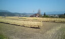 【ふるさと納税】 平成30年 飯綱町産 コシヒカリ 特A 1...