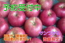 【ふるさと納税】【予約販売】サンつがるりんご 家庭用10kg...