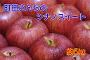 【ふるさと納税】【先行予約】 飯綱町 町田さんちのりんご 【...