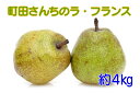 【ふるさと納税】【先行予約】 ラ・フランス 約4kg(サイズ...