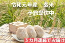 【ふるさと納税】【先行予約】 飯綱町 町田さんちの新米 【 ...