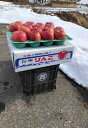 【ふるさと納税】【先行予約】長野県飯綱町 サンふじ 特秀5k...
