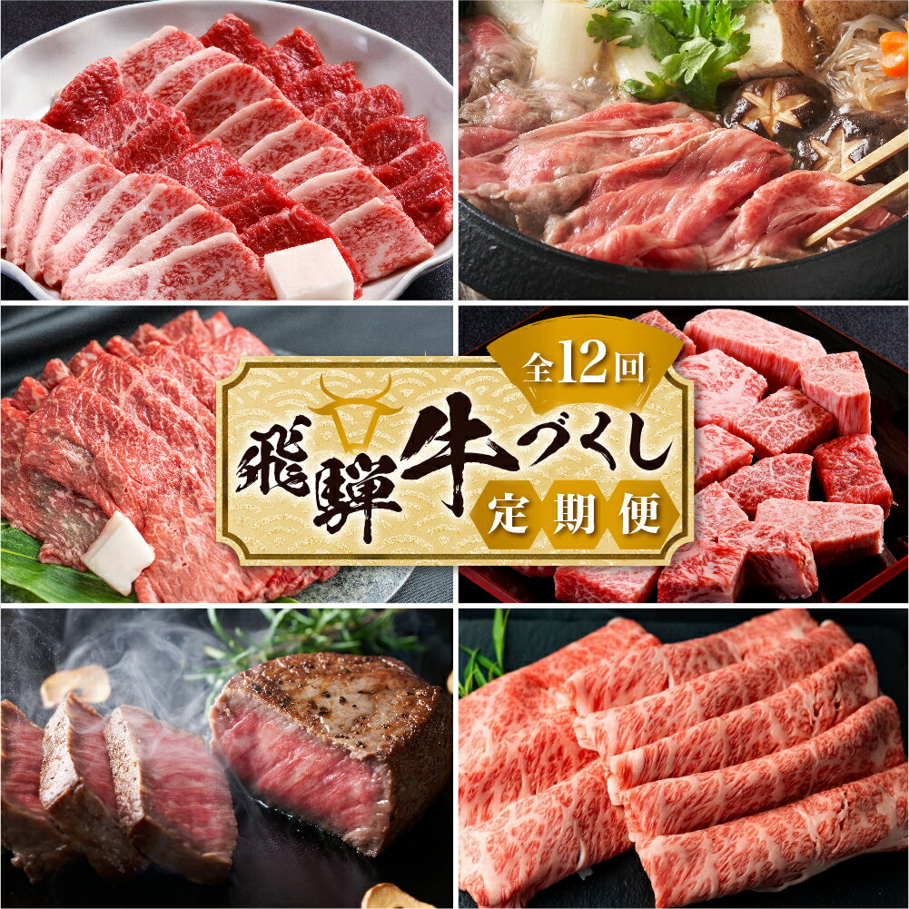 【ふるさと納税】 飛騨牛づくし 肉 定期便 12回 牛肉( ステーキ / 焼肉しゃぶしゃぶ / すき焼き )12カ月 牛 高級肉 焼き肉 お楽しみ 1年間 ヒレ肉 サーロイン 霜降り 赤身 ロース ランキング 300000円 30万円 人気 高山市 岐阜県 TR3630