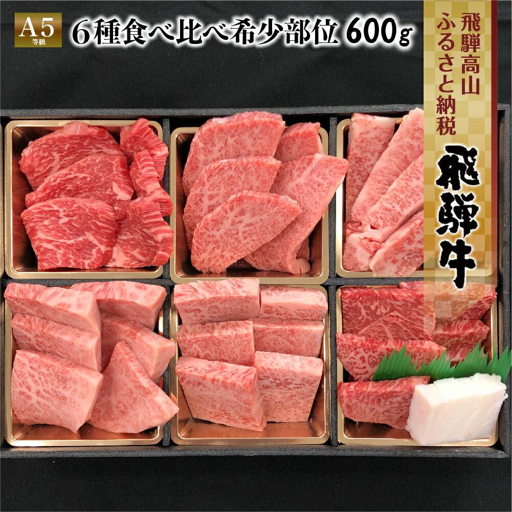 【ふるさと納税】飛騨牛 焼肉 6種食べ比べ セット 600g(100g×6） 希少部位 A5 5等級 <strong>盛り合わせ</strong> 黒毛和牛 和牛 個包装 ［c536］