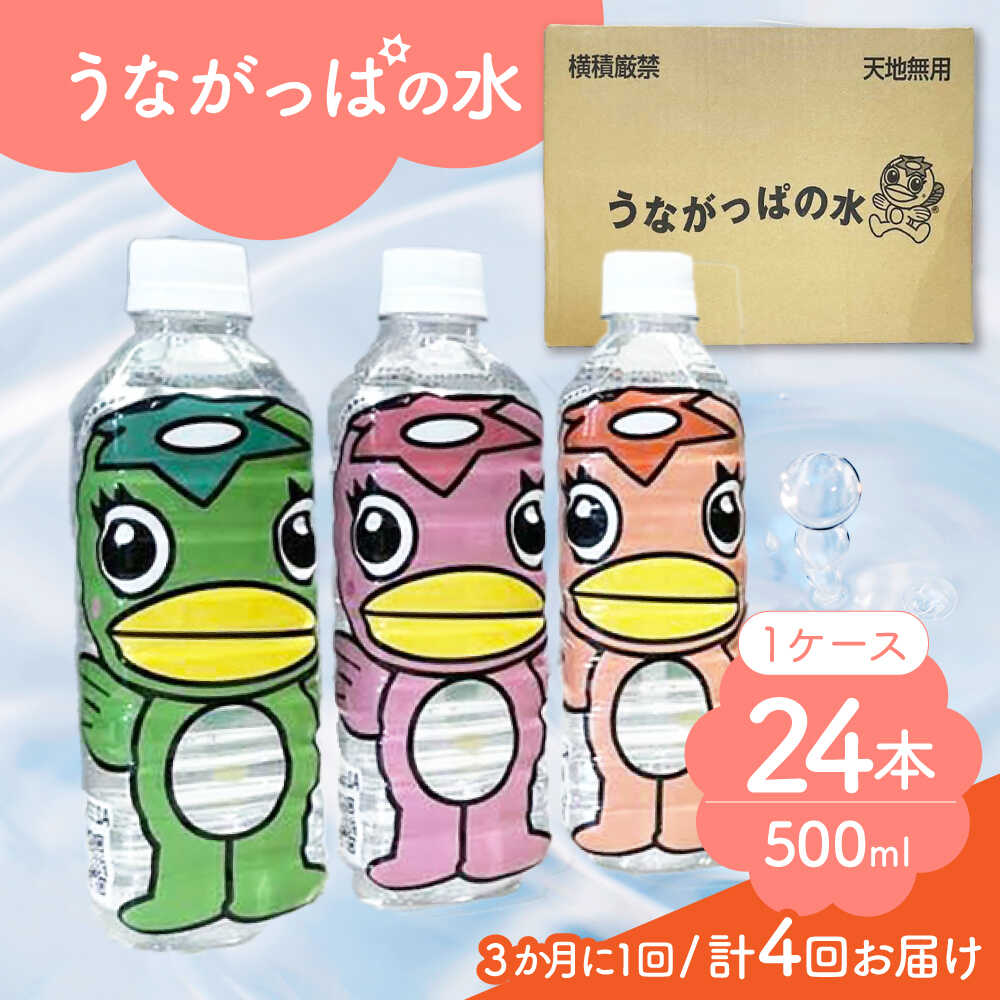 【ふるさと納税】【4回定期便】 うながっぱの水 1ケース（ 500ml ペットボトル × 24本 ） 15 多治見市 /多治見市観光協会 ミネラルウォーター 備蓄[TAQ016]