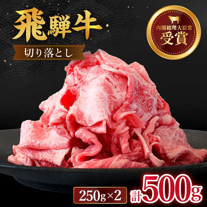 【ふるさと納税】 <strong>飛騨牛</strong> 切り落とし 500g ( 250g × 2 ) 【<strong>肉のひぐち</strong>】≪多治見市≫ 牛肉 国産 ブランド牛 和牛 [TDC009]