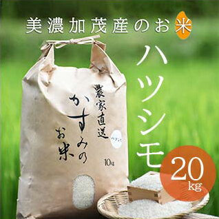 令和3年 美濃加茂産 ハツシモ ( 20kg ) | 春見ライス 米 お米 コメ 送料無料 M20S24