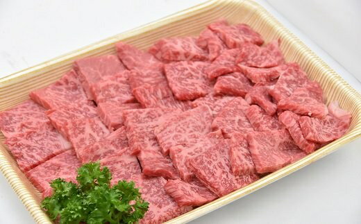 【ふるさと納税】 飛騨牛A5等級 焼肉用400g（モモ肉） （クラウドファンディング対象）