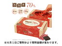 【ふるさと納税】カカオ70 チョコレートボックス入り1kg