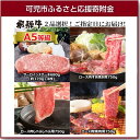 【ふるさと納税】A5等級 選べるプレミアム飛騨牛商品券(3)...