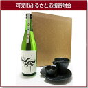 【ふるさと納税】岐阜のきき酒師が厳選した酒器セット 仙禽 無...