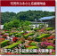 【ふるさと納税】花フェスタ記念公園 入園券セット(入園券6枚)